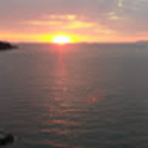 Meet your Posher, Ava